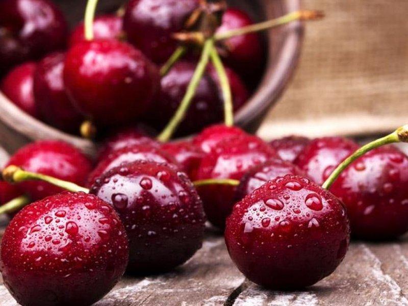 Вишня купить саженцы из питомника в Шахтах